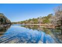 Picturesque view of the serene water with trees lining the bank on a sunny day at 1728 Barracuda Rd, Johns Island, SC 29455