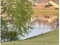 Backyard pond with grassy bank and visiting waterfowl at 155 Tyger St, Summerville, SC 29485