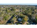 Expansive aerial view of a home nestled among lush greenery and a winding creek, showcasing privacy and natural beauty at 1810 Laura Creek Rd, Charleston, SC 29412