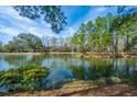 Scenic view of a tranquil pond surrounded by mature trees and other homes in the neighborhood at 1908 Hall Point Rd, Mount Pleasant, SC 29466