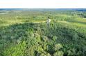 Overhead shot showcasing dense forest and the natural landscape, highlighting the property's serene setting at 13959 Cottageville Hwy, Cottageville, SC 29435