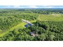 Scenic view of a private lake, surrounding forest, and the residence nestled within lush greenery at 13959 Cottageville Hwy, Cottageville, SC 29435