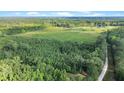 Wide aerial shot featuring an expansive wooded area, clearings, and a glimpse of the road at 13959 Cottageville Hwy, Cottageville, SC 29435