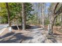Scenic walking path surrounded by lush greenery offering a peaceful and natural setting at 1025 Riverland Woods Pl # 609, Charleston, SC 29412