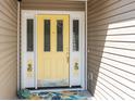 Close up of the home's front door featuring decorative features, sidelights, and a colorful welcome mat at 1617 Southwick Dr, Johns Island, SC 29455