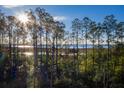 Breathtaking marsh view through a beautiful landscape of mature trees at 1690 Cultivation Ln # 543, Mount Pleasant, SC 29466