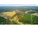 Panoramic aerial showcasing a house nestled amidst trees, fields, and railway tracks, with surrounding natural beauty at 276 S Railroad Ave, Harleyville, SC 29448
