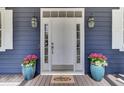 Beautiful entryway with a white door, sidelights, and plants in decorative pots at 3409 Southern Cottage Way, Mount Pleasant, SC 29466