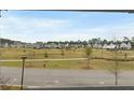 Beautiful community view overlooking an open green space with mature trees and well-maintained homes in the background at 115 Winding Branch Dr, Summerville, SC 29486