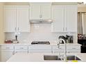 Bright kitchen featuring white subway tile backsplash and modern stainless steel appliances at 1251 Weather Helm Dr, Mount Pleasant, SC 29466