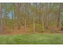 Lush green backyard backing onto a serene wooded area at 164 Buchanan Cir, Goose Creek, SC 29445