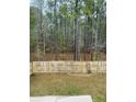 View of the backyard featuring a wooden fence, a natural area, and mature trees at 176 Daniels Creek Cir, Goose Creek, SC 29445