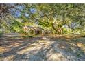 Charming brick home with mature trees, a private driveway and lush greenery all around the property at 562 Fort Johnson Rd, Charleston, SC 29412