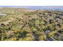 Overhead view of wooded neighborhood, close to the water, with a blend of lush greenery and residential properties at 1174 Fort Johnson Rd, James Island, SC 29412
