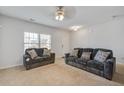 Spacious living room with neutral walls, carpet flooring, ceiling fan, and comfortable dark sofa seating at 491 Fox Sparrow Ct, Summerville, SC 29486