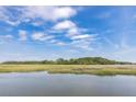 Expansive marsh view showing the waterway and grassy landscape under a bright blue sky at 178 Beresford Creek St, Daniel Island, SC 29492