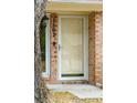 Close-up of the front door with visible house number and exterior details at 1162 South Shadow Dr, Mount Pleasant, SC 29464