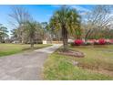Spacious driveway with palm trees and colorful flowerbeds, enhancing the property's curb appeal at 117 Hartin Blvd, Summerville, SC 29486