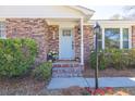 Close-up of a charming brick home's entrance with a light blue door, adorned with blooming flowers at 689 Port Cir, Charleston, SC 29412