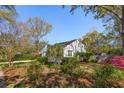 Lush backyard featuring mature trees and shrubs, providing a private and serene outdoor space at 4 St Teresa Dr, Charleston, SC 29407