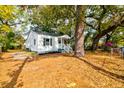 Side view of a cozy home featuring mature trees and a well-maintained yard at 2604 Ferrara Dr, North Charleston, SC 29405