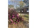 Landscaped front yard featuring beautiful pink flowers and a well-maintained lawn at 431 Otis Rd, Walterboro, SC 29488