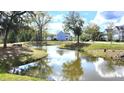 A serene pond reflects the blue sky, surrounded by lush greenery and mature trees around the residential community at 1984 Shadetree Blvd, Johns Island, SC 29455