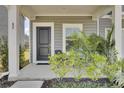 Charming front entrance with a black door, complemented by lush greenery and plants at 85 Arrowwood Way, Summerville, SC 29485