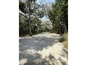 Expansive property featuring a sand driveway surrounded by lush trees and tropical plants at 4113 Buccaneer Rd, Isle of Palms, SC 29451