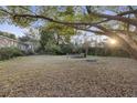 Expansive backyard with lush greenery, offering ample space for outdoor activities and enjoying nature at 434 Shannon Dr, Mount Pleasant, SC 29464