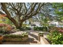 Brick pathway leading to lush landscaping featuring a magnificent tree and flowering plants at 2187 Annie Laura Ln, Mount Pleasant, SC 29466