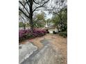 Inviting single-story home with a garage and a driveway surrounded by colorful azaleas at 1291 Old Colony Rd, Mount Pleasant, SC 29464