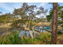 A wooden dock, boat, and kayaks sit on the water, surrounded by trees and greenery at 630 Cain Dr, Mount Pleasant, SC 29464