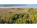 An aerial view showcases a home nestled within a lush landscape along the coast at 83 Blue Heron Pond Rd, Kiawah Island, SC 29455
