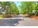 Beautiful street view under a canopy of green trees, offering a tranquil and scenic environment for a peaceful neighborhood at 2 Townpark Ln # D, Charleston, SC 29412