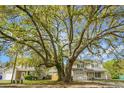 A charming two-story home with mature trees and well-maintained landscaping at 1502 Thoroughbred Blvd, Johns Island, SC 29455