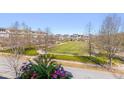 Scenic view of community green space with walking paths, trees, and charming neighborhood homes at 1555 Willtown St, Daniel Island, SC 29492