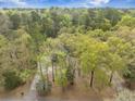 An areal view of a wooded lot featuring large mature trees and a winding driveway at 306 Teakwood Dr, Walterboro, SC 29488