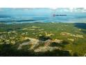 An aerial view of the community near Lake Moultrie, showcasing its proximity to the water and dense forest at 181 Morning View Way, Moncks Corner, SC 29461