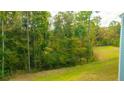 View of the green backyard of the property, bordered by a lush green wooded area at 181 Morning View Way, Moncks Corner, SC 29461