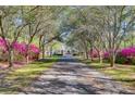 A picturesque tree-lined driveway leads to a charming home with blooming azaleas at 1068 Witherbee Rd, Moncks Corner, SC 29461
