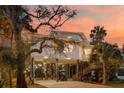 Charming stilt home with palm trees and string lights at sunset offers a relaxed coastal feel at 217 E Huron Ave, Folly Beach, SC 29439
