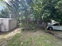 Spacious backyard with mature trees, offering a private outdoor retreat at 227/229/3 Fishburne/Woodall St, Charleston, SC 29403