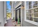 Charming front entrance showcasing a decorative door, sidelights, and manicured potted plants at 2340 Salt Wind Way, Mount Pleasant, SC 29466