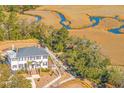 Breathtaking aerial view of the home showcasing its lush surroundings, manicured lawns, and waterfront location at 1075 Avenue Of Oaks, Charleston, SC 29407