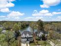 Aerial view of lovely homes near a serene lake showcasing lush green trees and a blue sky at 1749 James Basford Pl, Mount Pleasant, SC 29466