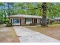 View of a one-story brick home featuring a driveway, mature trees, and a double-door entrance at 223 Dandridge Rd, Walterboro, SC 29488