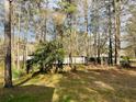 Spacious backyard surrounded by tall trees, offering privacy and a natural setting at 334 E Poplar Branch Dr, Moncks Corner, SC 29461