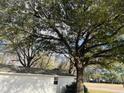 Side view of the home, highlighting the roofline and exterior details amidst mature trees at 334 E Poplar Branch Dr, Moncks Corner, SC 29461