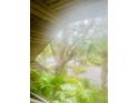 Balcony view capturing lush tropical foliage and a glimpse of the parking area, blending nature at 4262 Mariners Watch, Kiawah Island, SC 29455
